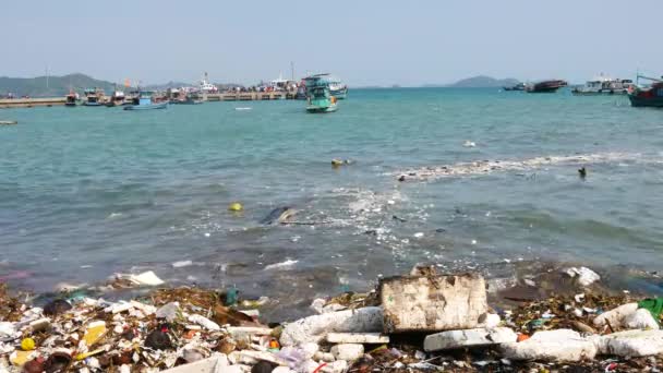 ゴミ箱 プラスチック ビーチでボトル ロイヤリティ高品質フリー映像ビーチでゴミ 海洋環境を汚染する廃棄物 — ストック動画