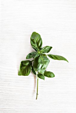 demet fesleğen yalan bir ahşap masa arka plan üzerine