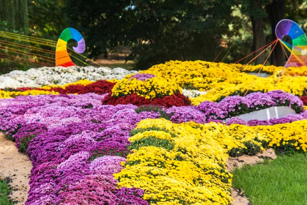 Salon du chrysanthème d'automne à Kiev, Ukraine, 2016 — Photo