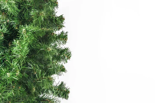 Thick green fir branches isolated — Stock Photo, Image