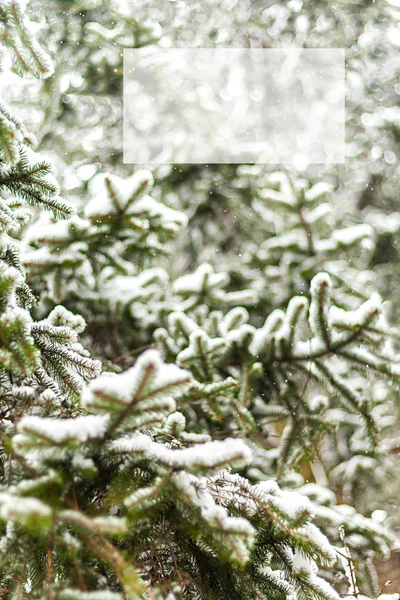 Green fir strewn thick with snow, and with the inscription — Stock Photo, Image