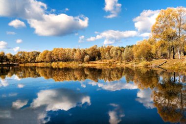 bir orman Gölü sonbahar ağaçlarda yansıyan