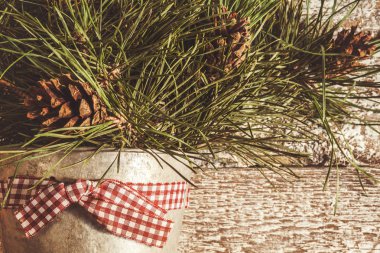 Çamın dalları çinko kova yakın çekim, instagram effe koniler ile