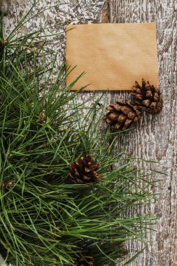 Çamın dalları ve koniler, boş bir kart bir Üstten Görünüm