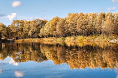 bir orman Gölü sonbahar ağaçlarda yansıyan