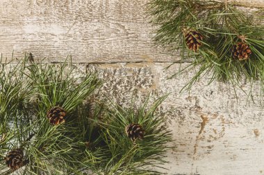 Çamın dalları koniler ahşap zemin ile