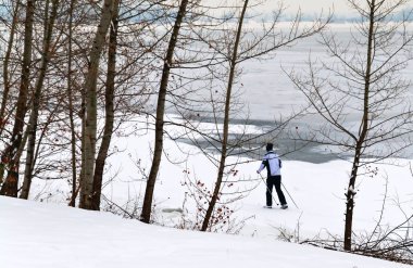 Karda ağaçlar arasında çalışan kayakçı