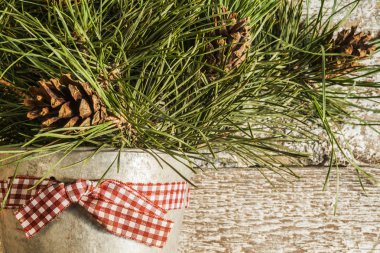 Çamın dalları çinko kova yakın çekim, instagram effe koniler ile