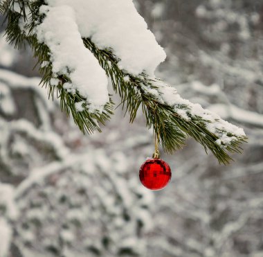 Kırmızı oyuncak top karlı bir dalda asılı