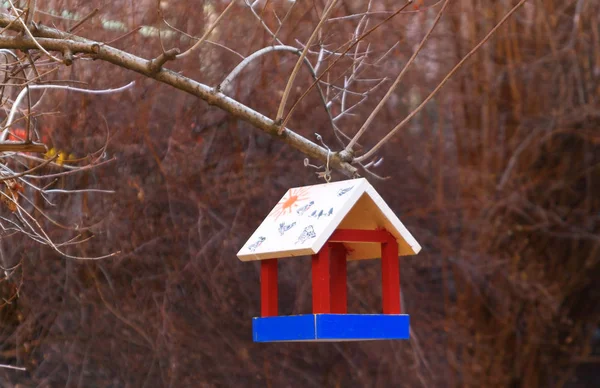 Mangeoire pour oiseaux dans une forêt close up — Photo