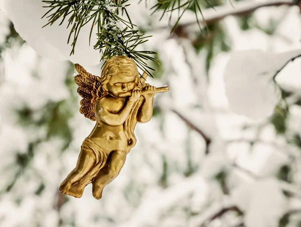 Anjo dourado pendura brinquedo em um ramo nevado — Fotografia de Stock