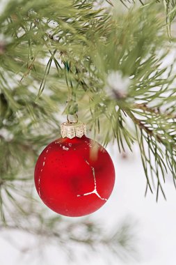 Kırmızı oyuncak top karlı bir dalda asılı