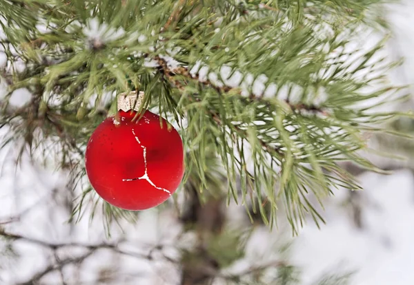 red toy ball hangs on a snowy branch
