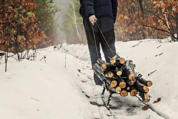 adam ahşap bir kızak kış karlı ormandaki sürdürmektedir