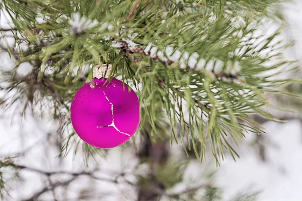 purple toy ball hangs on a snowy branch
