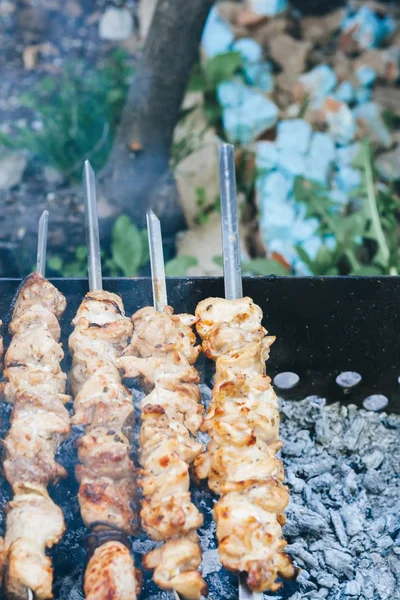 Cuisson de viande sur la vue de dessus du feu, shish kebab sur les brochettes, fumée — Photo