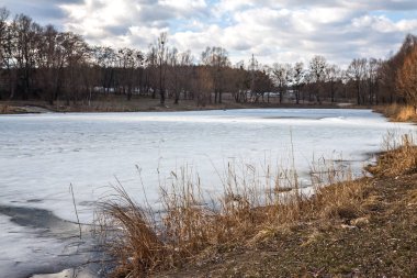 Manzara bir karla kaplı nehir kıyısında kuru ot