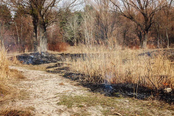 Ισχυρή πυρκαγιά στο δάσος στη λίμνη. Πολύ καπνό για το bac — Φωτογραφία Αρχείου