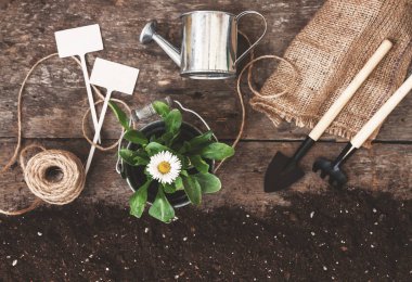 Bahçe araç, kürek, komisyon, sulama olabilir, kova, Tablet pla için