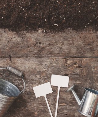 Bahçe bir araç, bir kürek, bir komisyon, bir sulama olabilir, bir kova, tablo