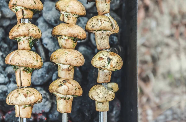 Champignons grillés cuits dans un brasero, vue de dessus, gros plan — Photo
