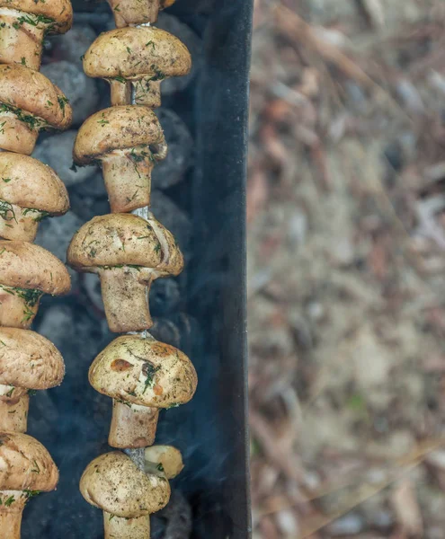 Champignons grillés cuits dans un brasero, vue de dessus, gros plan — Photo