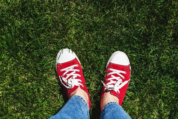 Legs in old red sneakers on green grass. View from above. The co