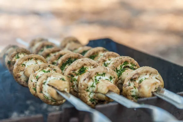 Champignons grillés sur brochettes cuits dans un brasero, gros plan, retr — Photo