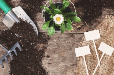 Bahçe araç, kürek, komisyon, sulama olabilir, kova, Tablet pla için