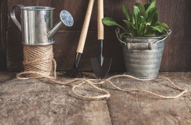 Bahçe aletleri, kürek, komisyon, sulama olabilir, kova, Tablet pl için