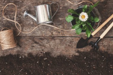 Bahçe araç, kürek, komisyon, sulama olabilir, kova, Tablet pla için