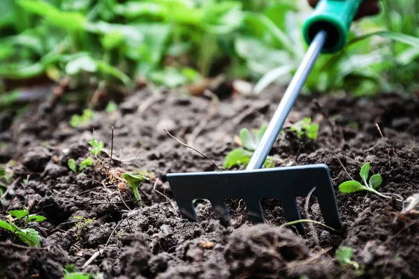 På marken ligger trädgårdskrattan. Närbild, begreppet trädgårdsskötsel — Stockfoto