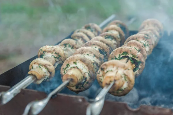 Champignons grillés sur brochettes cuits dans un brasero, gros plan, retr — Photo