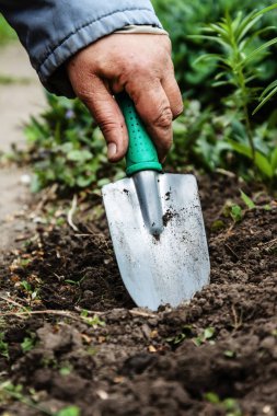 Bir kadın eli bir kürekle toprak ve toprak seven. Yakın çekim, Conce