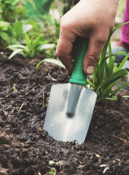 La mano di una donna scava terra e terra con una pala. Primo piano, Conce — Foto Stock