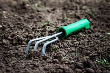 Çatalı Bahçe, yerde yatan komisyon, görünümü, yakın çekim top