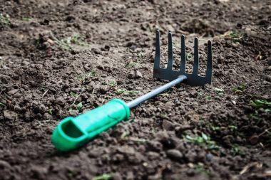 Çatalı Bahçe, yerde yatan komisyon, görünümü, yakın çekim top