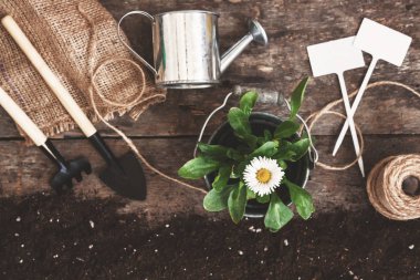 Bahçe araç, kürek, komisyon, sulama olabilir, kova, Tablet pla için