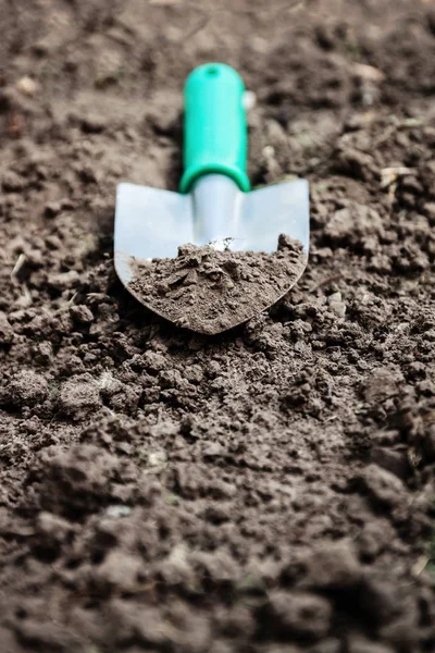 Tuin schop, primeur op de bodem, bovenaanzicht, close-up — Stockfoto