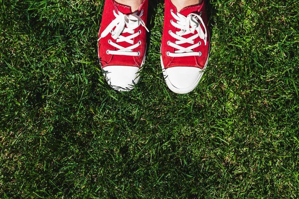 Legs in old red sneakers on green grass. View from above. The co