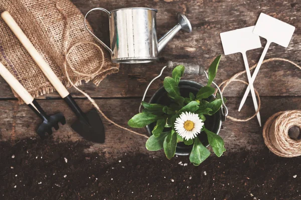 Bahçe araç, kürek, komisyon, sulama olabilir, kova, Tablet pla için