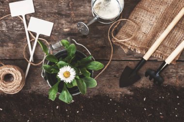 Bahçe araç, kürek, komisyon, sulama olabilir, kova, Tablet pla için