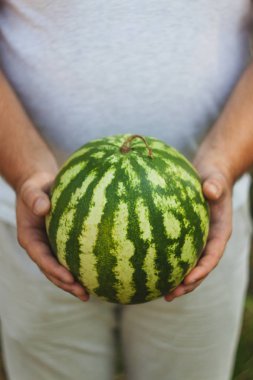 Genç bir adam bütün bir karpuz tutuyor. Sağlık kavramı