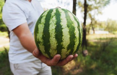 Genç bir adam bütün bir karpuz tutuyor. Sağlık kavramı