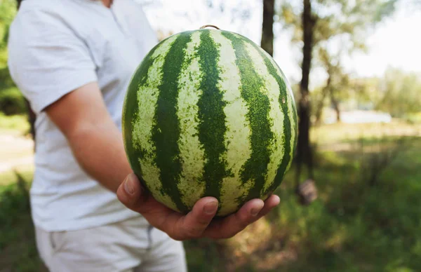 Genç bir adam bütün bir karpuz tutuyor. Sağlık kavramı
