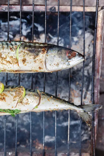 Ryby z rusztu z przyprawami na ogień z bliska. Grillowanie ryb dorado — Zdjęcie stockowe