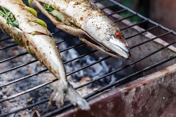 Ryby z rusztu z przyprawami na ogień z bliska. Grillowanie ryb dorado — Zdjęcie stockowe