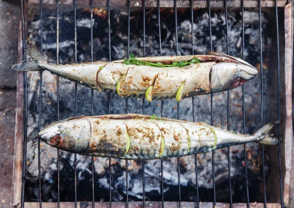 Ryby z rusztu z przyprawami na ogień z bliska. Grillowanie ryb dorado — Zdjęcie stockowe