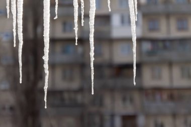 Tehlikeli buz sarkıtları evin karlı çatıdan asmak. Büyük ICI