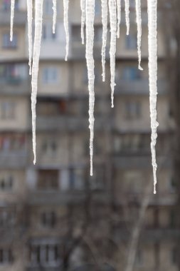 Tehlikeli buz sarkıtları evin karlı çatıdan asmak. Büyük ICI